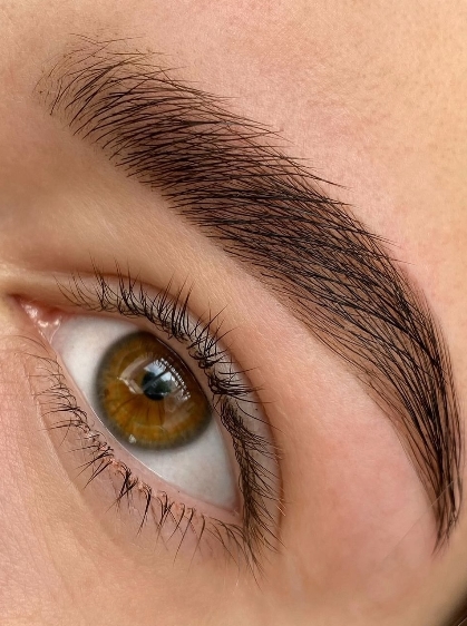 Portfolio - brow_lash_usa, Tarzana
